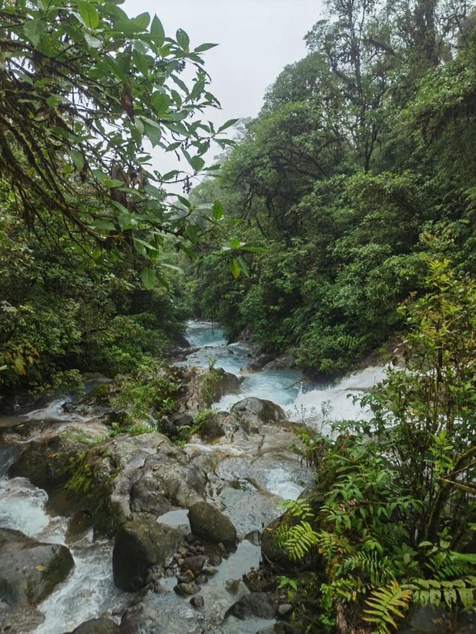 Selvatica Del Toro Apartment Bajos del Toro Екстериор снимка