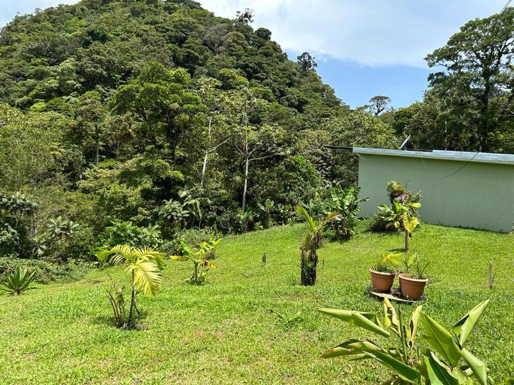 Selvatica Del Toro Apartment Bajos del Toro Екстериор снимка