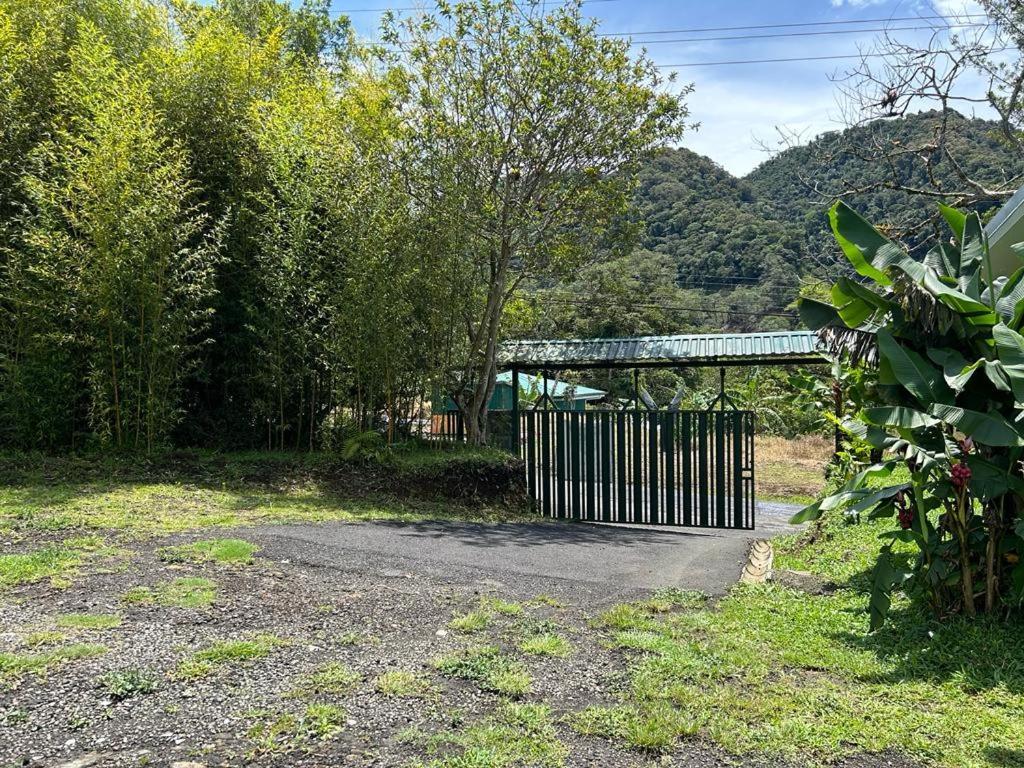 Selvatica Del Toro Apartment Bajos del Toro Екстериор снимка