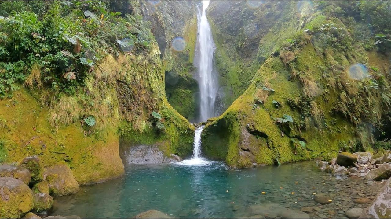 Selvatica Del Toro Apartment Bajos del Toro Екстериор снимка