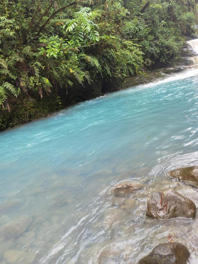 Selvatica Del Toro Apartment Bajos del Toro Екстериор снимка