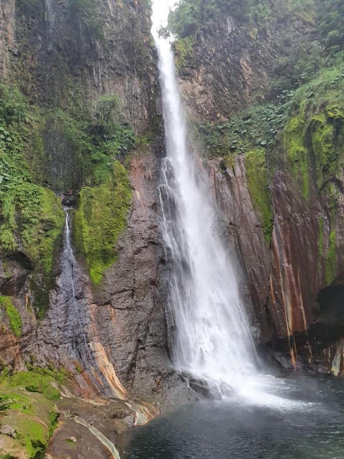 Selvatica Del Toro Apartment Bajos del Toro Екстериор снимка