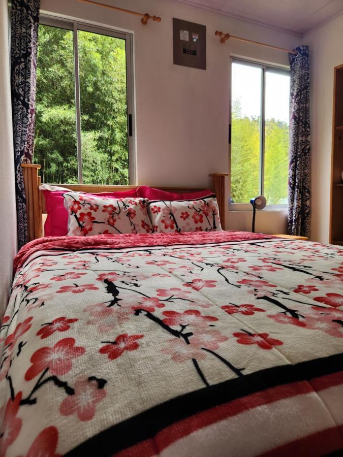 Selvatica Del Toro Apartment Bajos del Toro Екстериор снимка